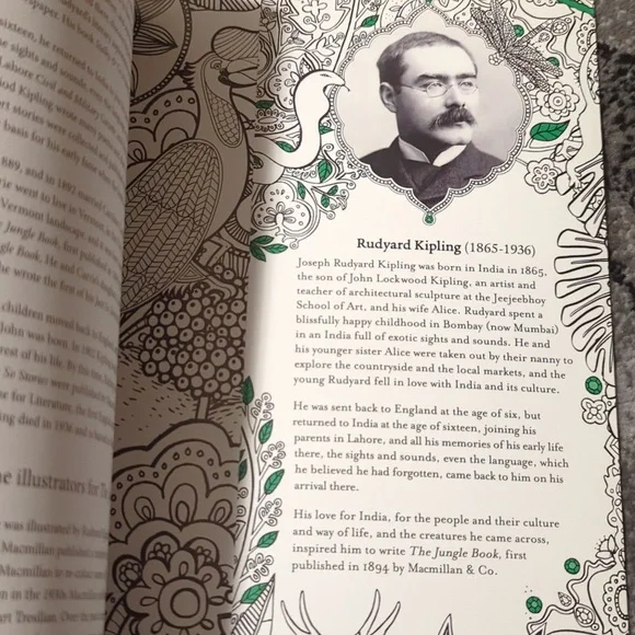 The Jungle Book colouring book new - Picture 13 of 14